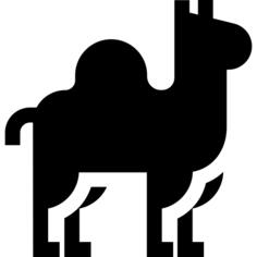 Dromedary