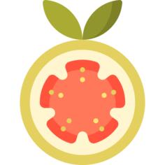 番石榴