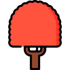枫