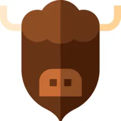 Bison
