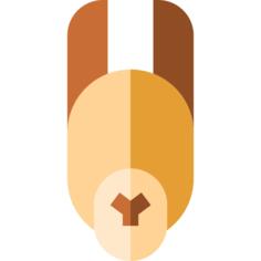 Llama