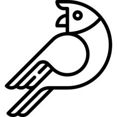 鹦鹉