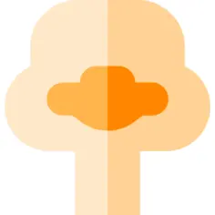 Ostrich
