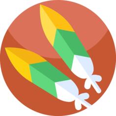 羽毛