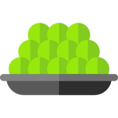 Grapes
