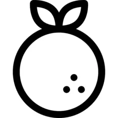 橙子