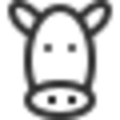 Donkey