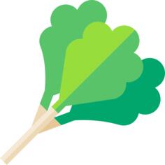 Rhubarb