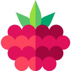 Raspberry