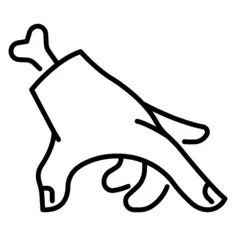 Hand