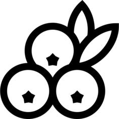 蓝莓