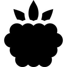 Raspberry
