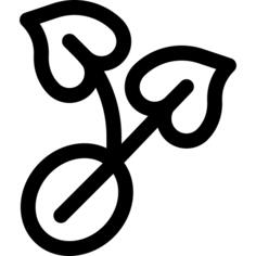 种子