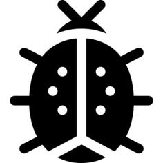 Ladybug