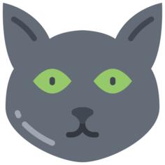 黑猫