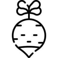 萝卜