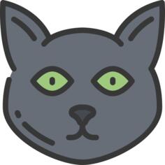 黑猫