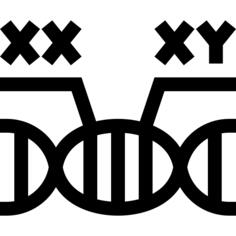 Xy