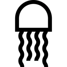 Jellyfish