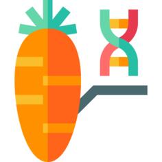 转基因