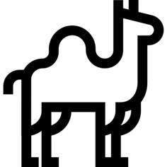 Dromedary