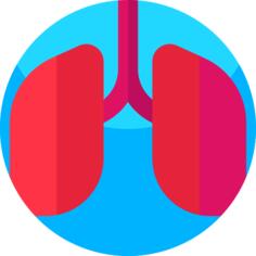 Lungs