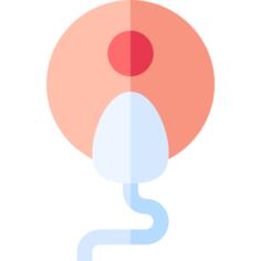 Fertilization