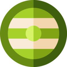 Shield