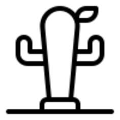 仙人掌