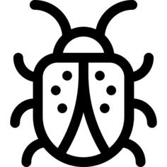 Ladybug