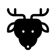 Reindeer