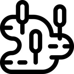 沼泽