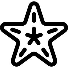 海星