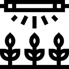 灯泡