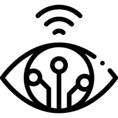 Eye