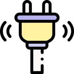 Plug
