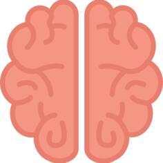Brain
