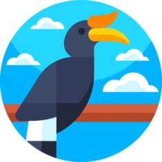 Hornbill