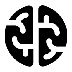 脑