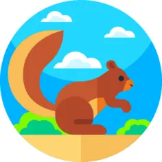 松鼠