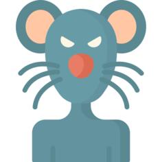 Rat