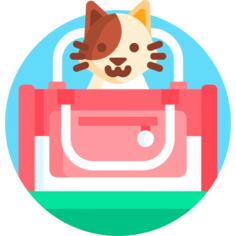 宠物载体