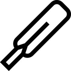 Cricket bat