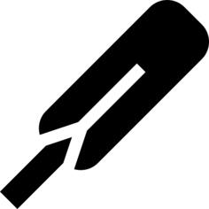 Cricket bat