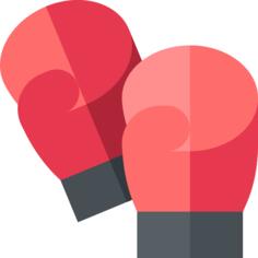 Boxing glove