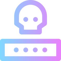 Pin code