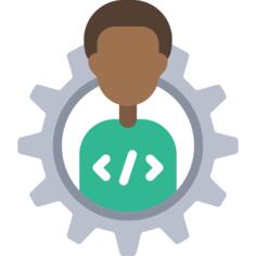 Software developer