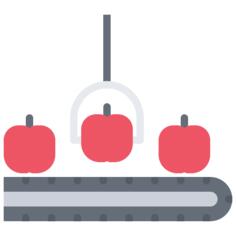 Conveyor