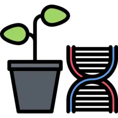 Genetic modification