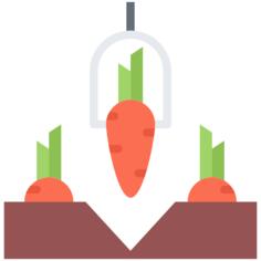 Carrot